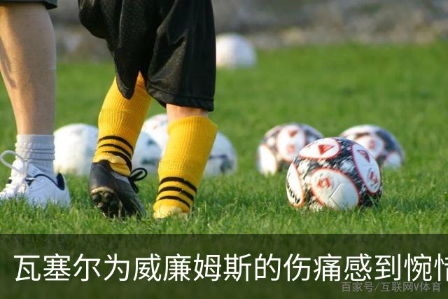 瓦塞尔为威廉姆斯的伤痛感到惋惜